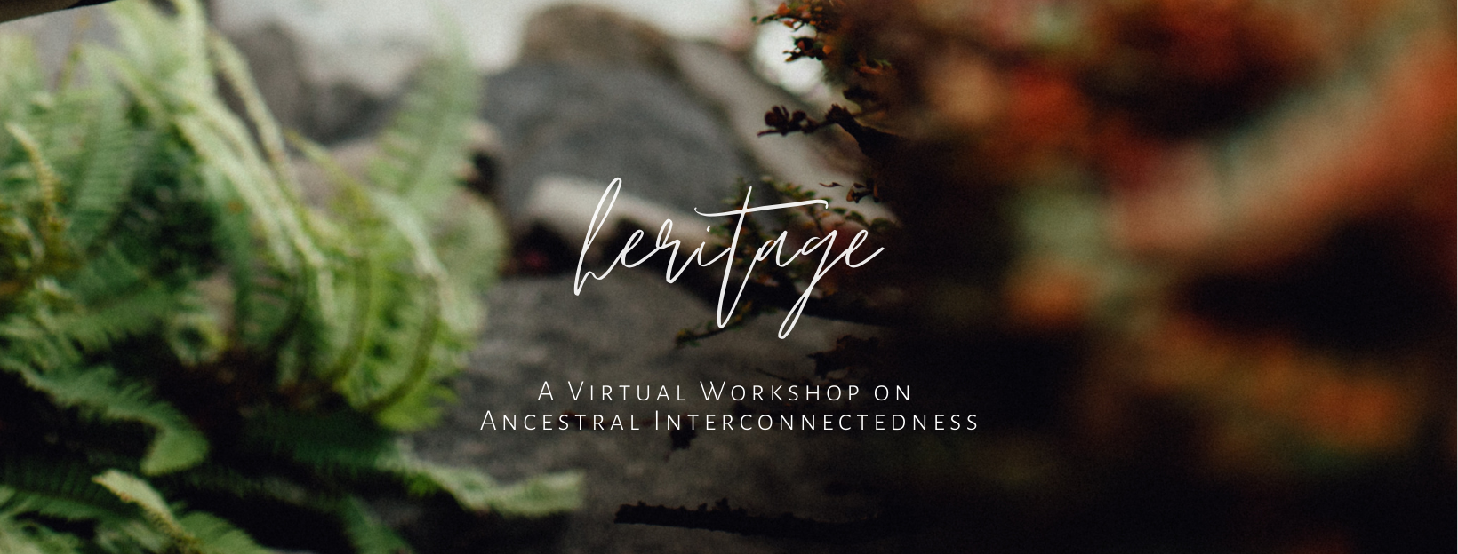 Website Featured Images (4)